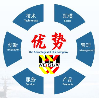 維盾優(yōu)勢